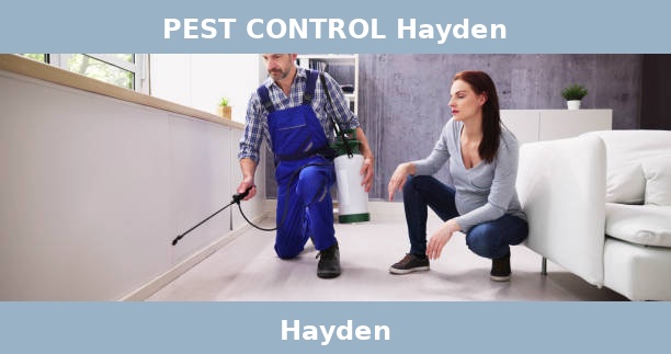 PEST CONTROL Hayden